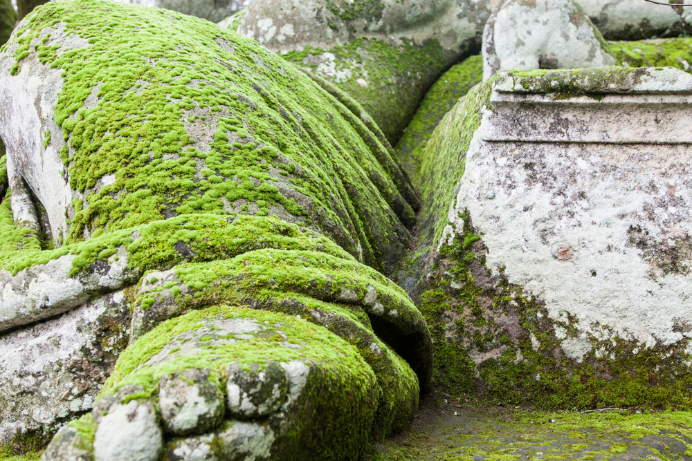 Civita di Bagnoregio and Bomarzo Gardens