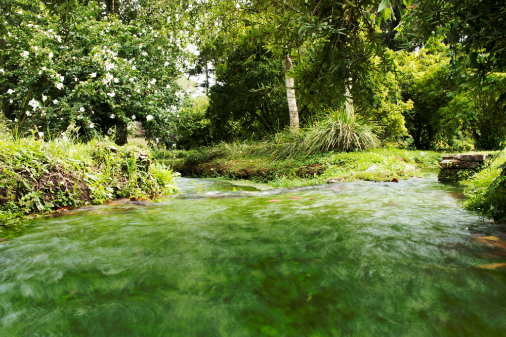 Ninfa Gardens